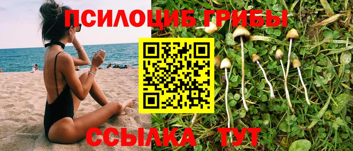Галлюциногенные грибы ЛСД Амурск